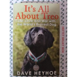 Dave Heyhoe - It's All About Treo