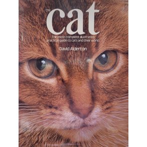 David Alderton - The Cat