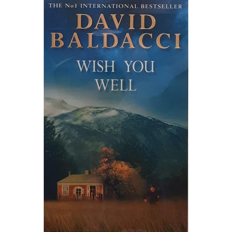 David Baldacci - Wish You Well