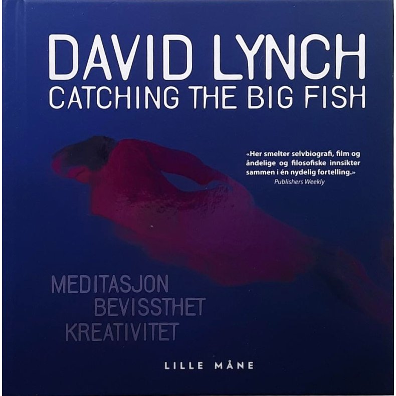 David Lynch - Catching The Big Fish: Meditasjon, bevissthet, kreativitet (Innbundet)