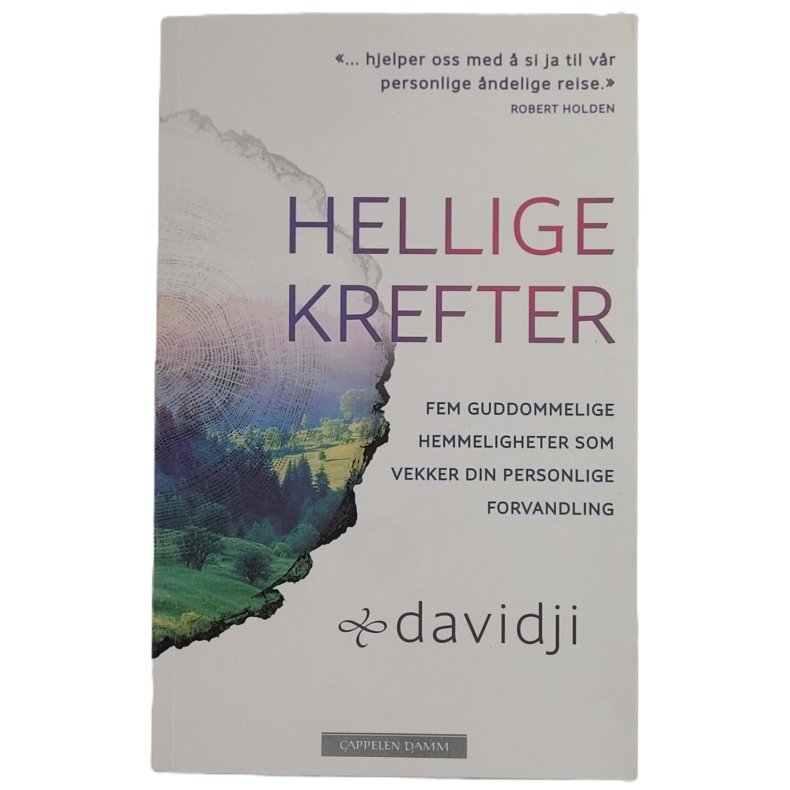 Davidji - Hellige krefter. Fem guddommelige hemmeligheter som vekker din personlige forvandling