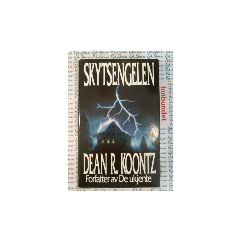 Dean R. koontz - Skytsengelen