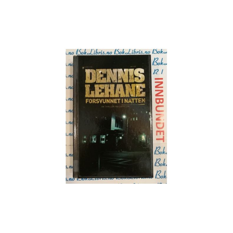 Dennis Lehane - Forsvunnet i natten (I)