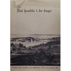 Det hendte i de dage - Glimt fra Borre og Horten i en svunnen tid