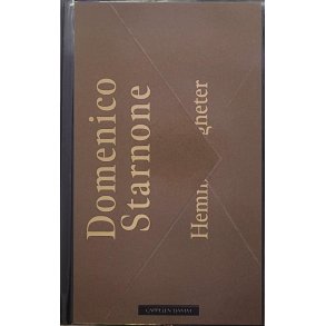 Domenico Starnone - Hemmeligheter