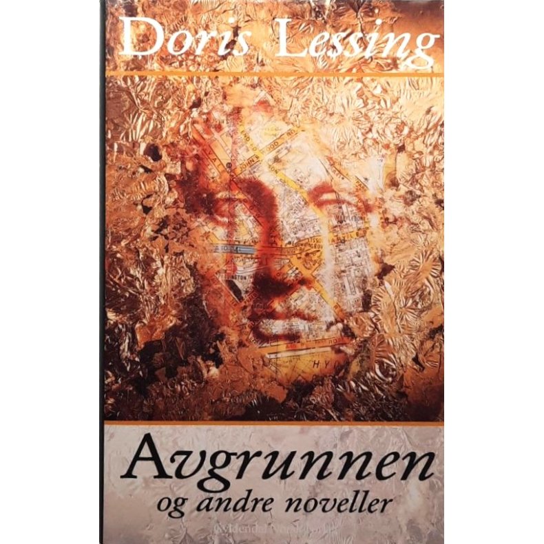 Doris Lessing - Avgrunnen og andre noveller (Innbundet)