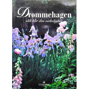 Dr�mmehagen - slik blir den virkelighet (Innbundet)