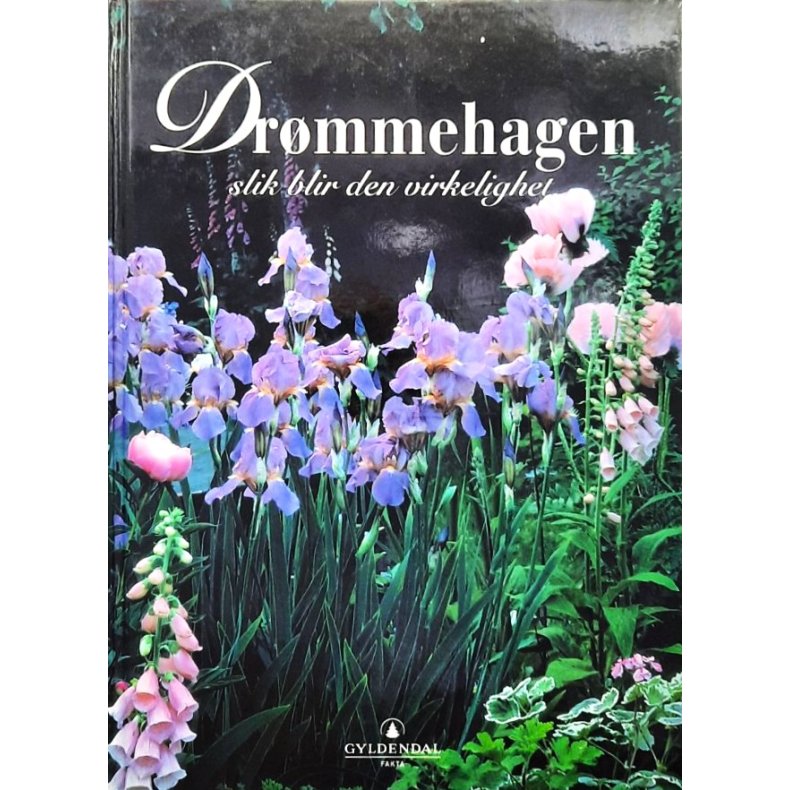 Dr�mmehagen - slik blir den virkelighet (Innbundet)