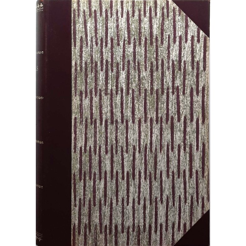 Einar Musum - Verdalsboka Bind V