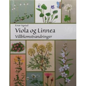 Einar Sigstad - Viola og Linnea - Villblomstvandringer