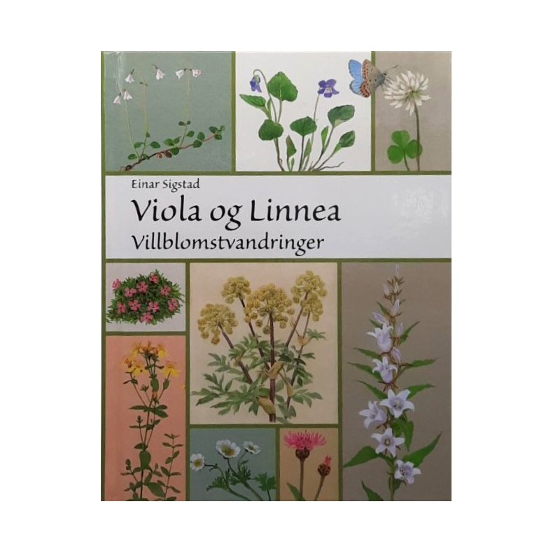 Einar Sigstad - Viola og Linnea - Villblomstvandringer
