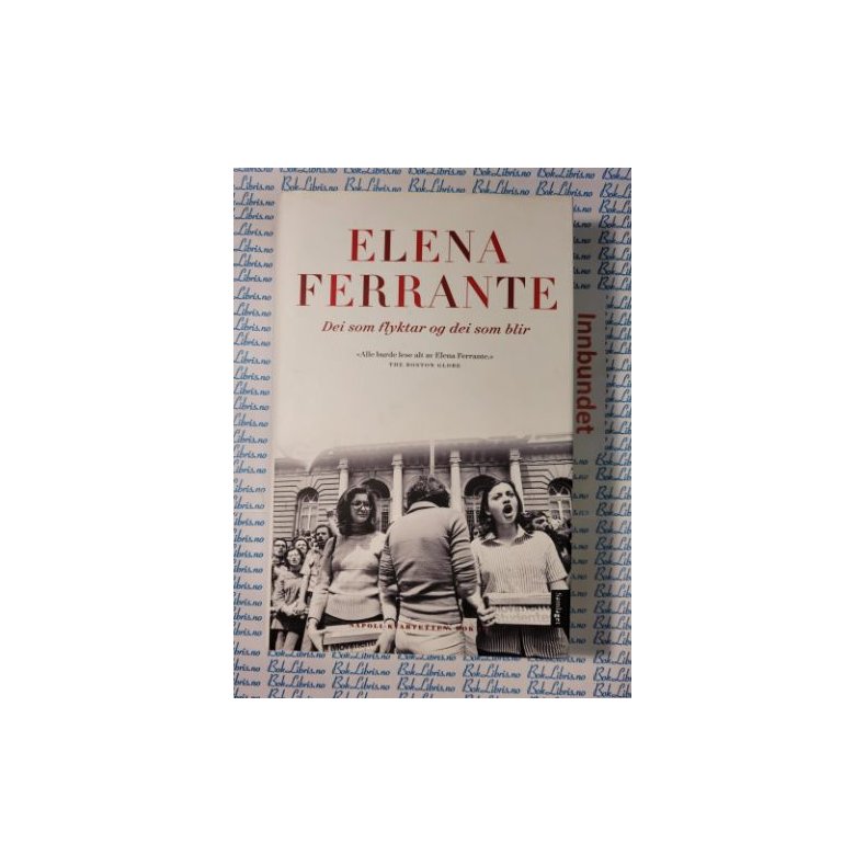 Elena Ferrante - Dei som flyktar og dei som blir (3)