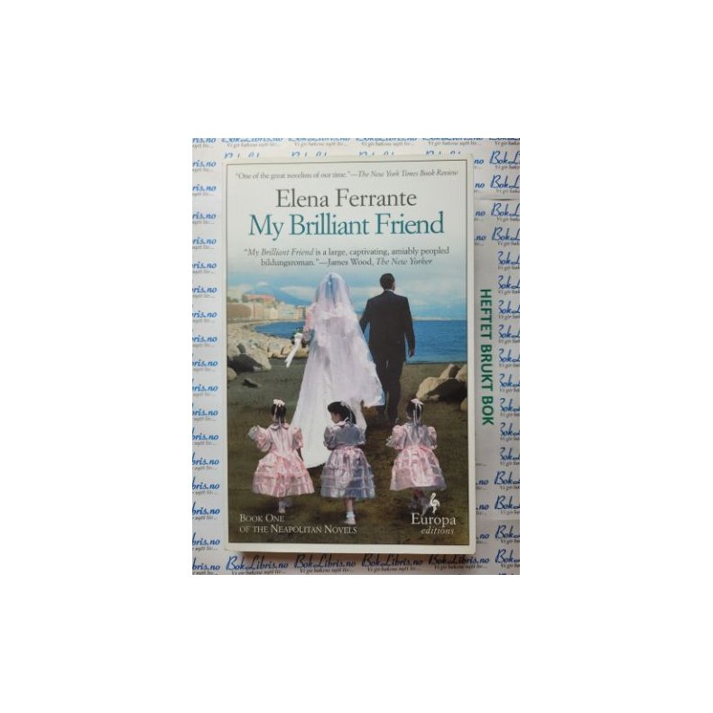 Elena Ferrante - My Brilliant Friend