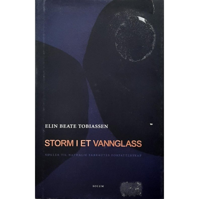 Elin Beate Tobiassen - Storm i et vannglass