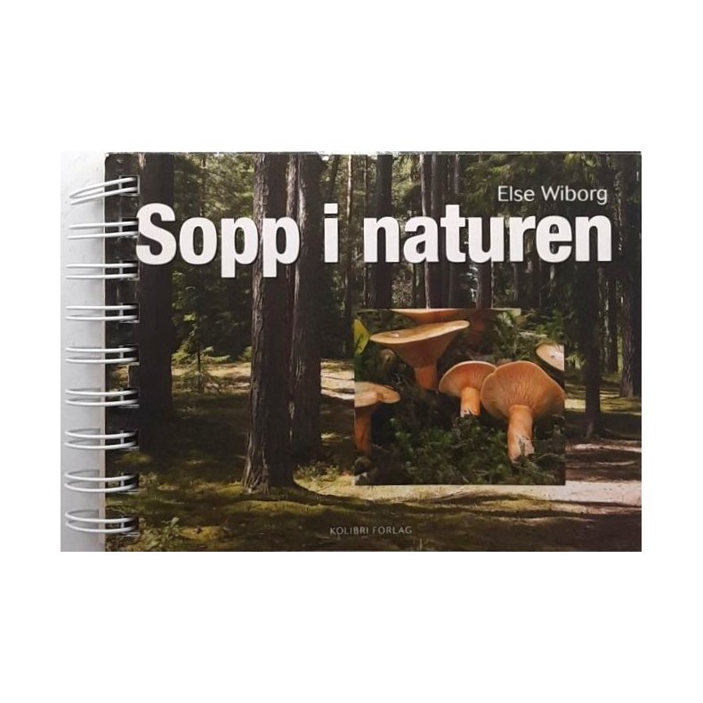 Else Wiborg - Sopp i naturen (Innbundet)