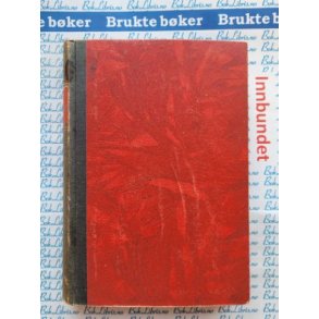 Emily Bront - Stormfulle hyder - Bruktbok