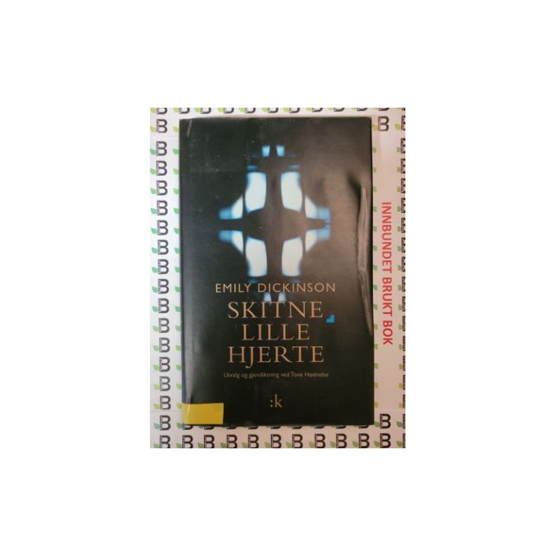 Emily Dickinson - Skitne lille hjerte