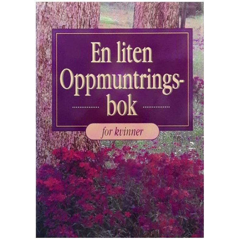 En liten Oppmuntringsbok for kvinner (Innbundet)
