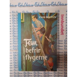 Enid Blyton - Fem befrir flygerne