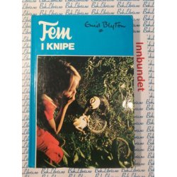 Enid Blyton - Fem i knipe
