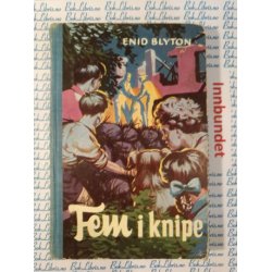 Enid Blyton - Fem i knipe