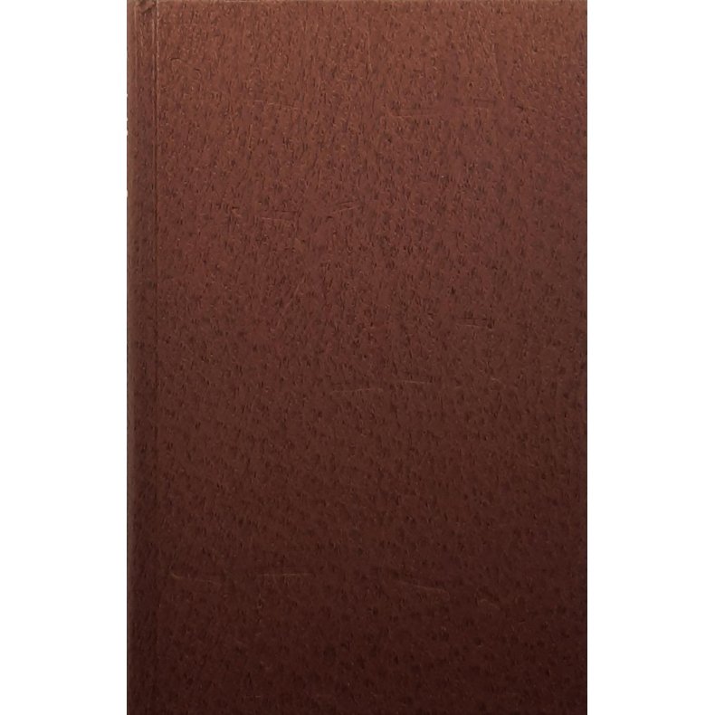 Erich Maria Remarque - Intet nytt fra vestfronten.