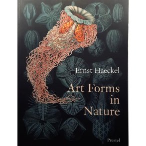 Ernst Haeckel - Art Forms in Nature (Heftet)