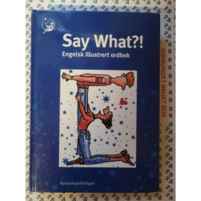 Espen Mellquist (Red.) - Say What?! - Engelsk illustrert ordbok