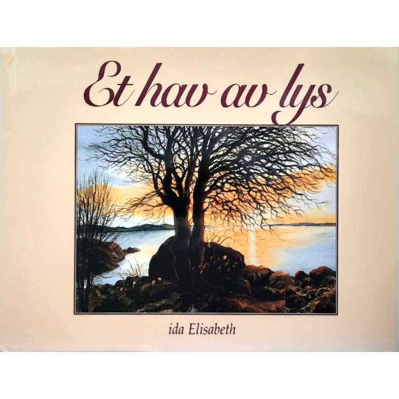 Et hav av lys - Ida Elisabeth - Bruktbok - Innbundet