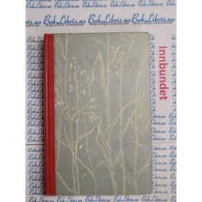 Evi Bgens - Sommer for Marianne 