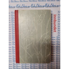 Evi Bgens - Tina i det rde hus