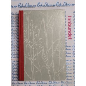 Evi Bgens - Tina i det rde hus