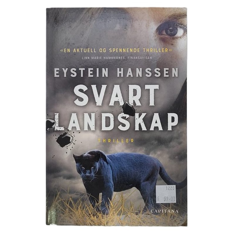 Eystein Hanssen - Svart landskap (Heftet)