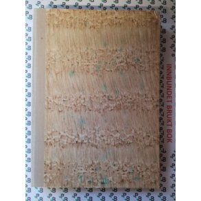 Fabian S. Schlabrendorff - Det store komplott - Offiserene mot Hitler