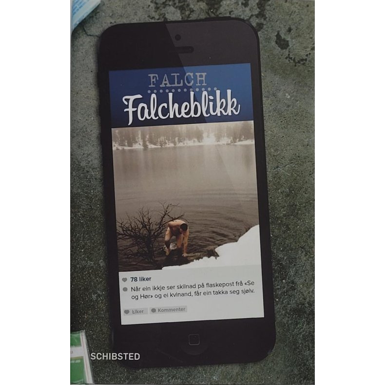 Falch - Falcheblikk