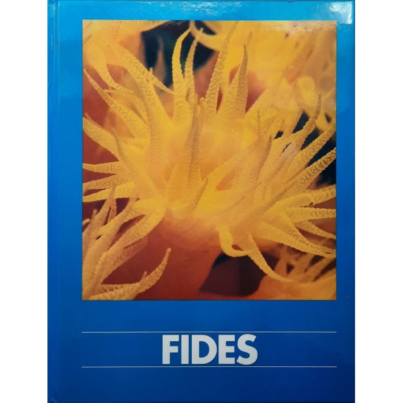 Fides. Mare Magicum. Ethica Humana Opus 93/2000.