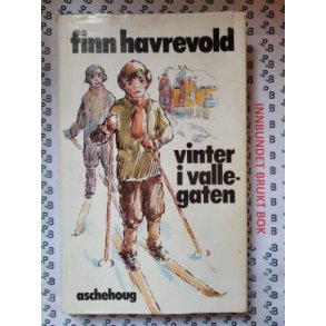 Finn Havrevold - Vinter i Vallegaten