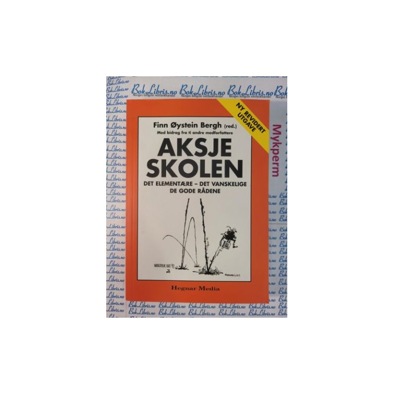 Finn ystein Bergh - Aksjeskolen