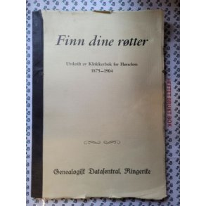 Finn dine rtter - Utskrift av Klokkerbok for Hnefoss 1875-1904