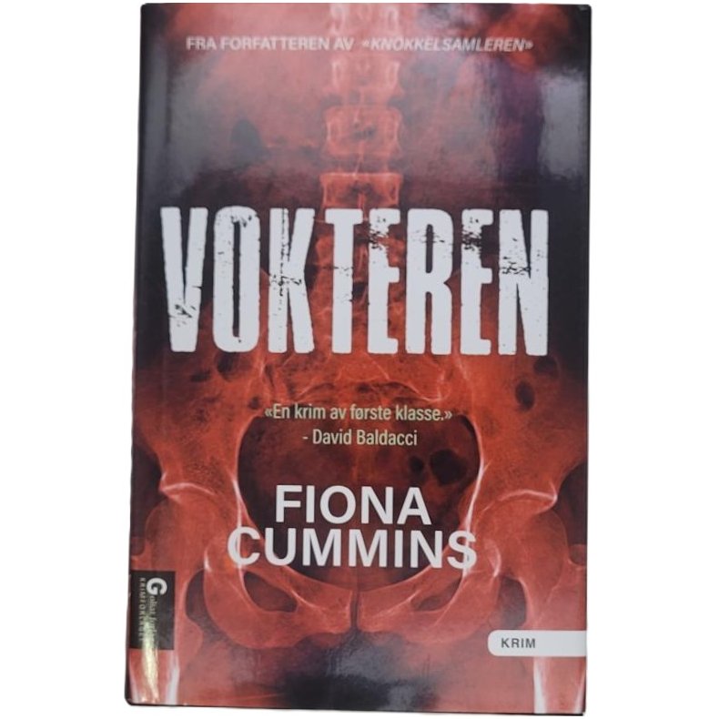 Fiona Cummins - Vokteren