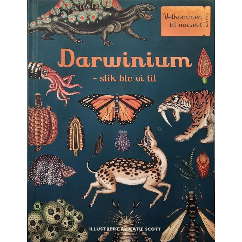 Fiona Munro -Darwinium - slik ble vi til
