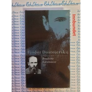 Fjodor Dostojevskij - Brdrene Karamsov III