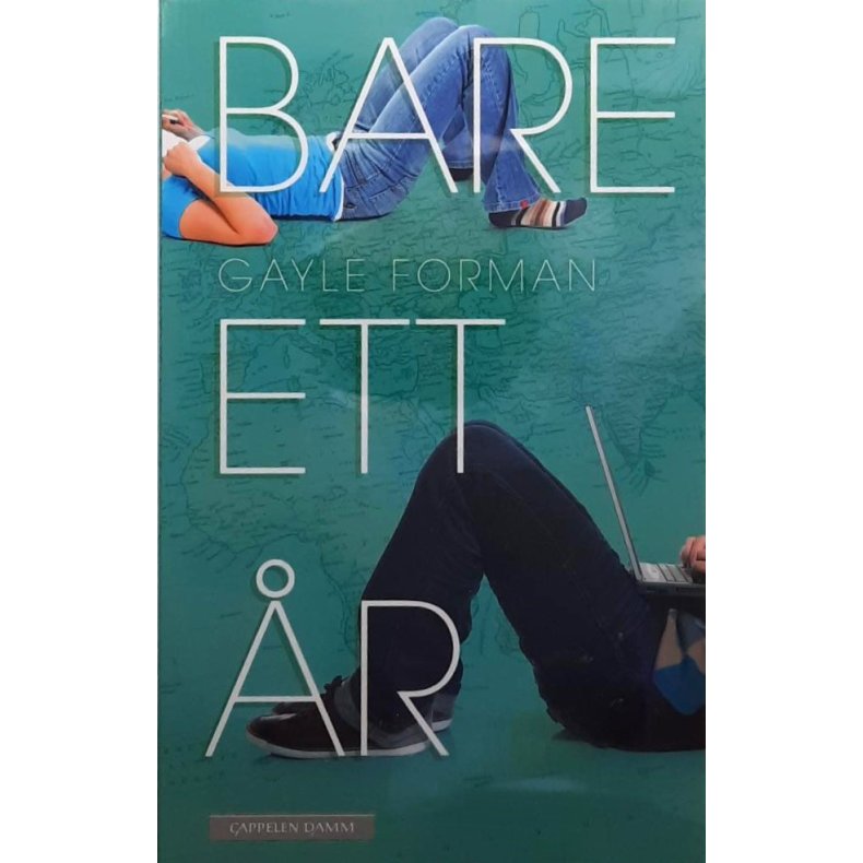 Gayle Forman - Bare ett r (Heftet)