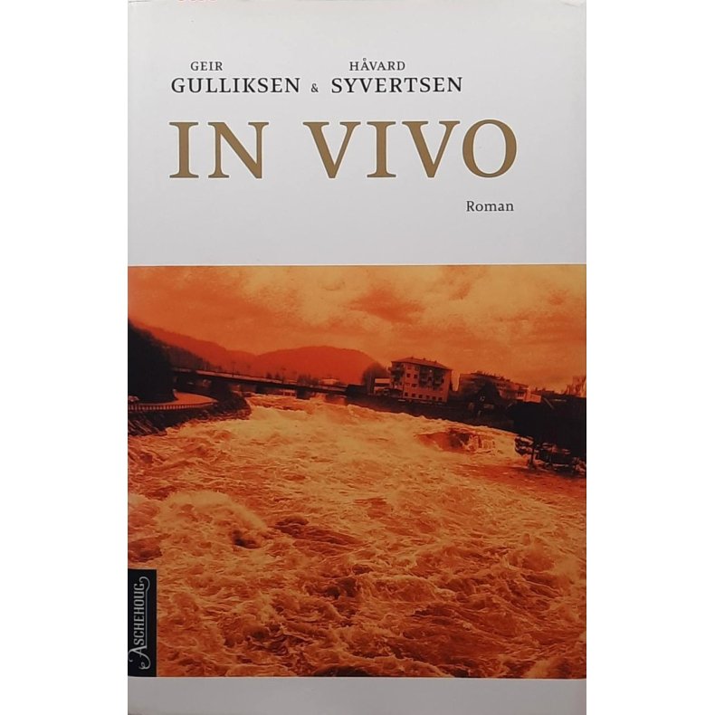 Geir Gulliksen &amp; Hvard Syvertsen - In vivo (I)