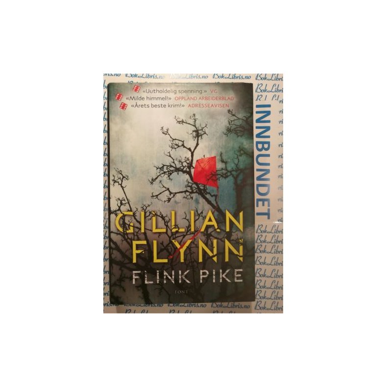 Gillian Flynn - Flink pike