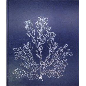 Gthe Gthesen - Oslofjorden (Innb.)