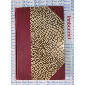 Grace S. Richmond - De unges hjem