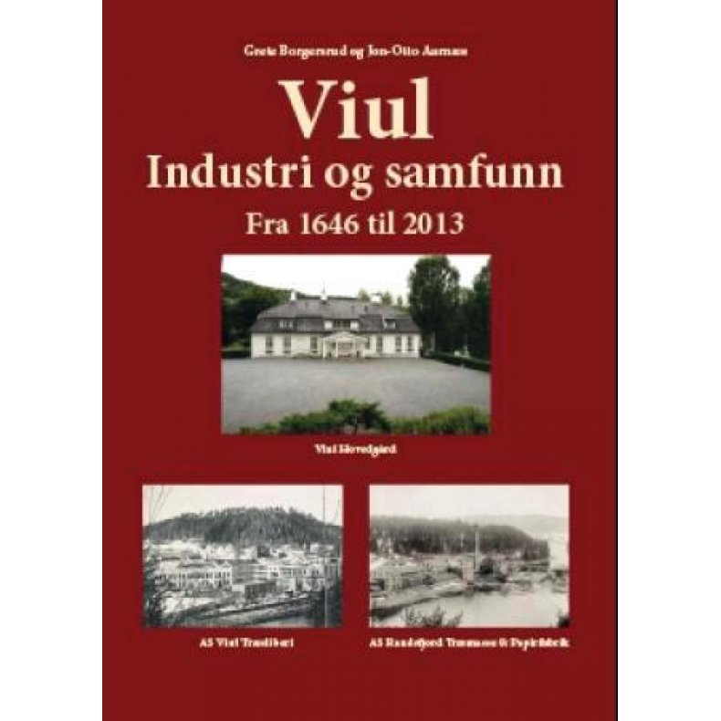 Grete Borgersrud og Jon-Otto Aarns - Viul industri og samfunn fra 1646 til 2013