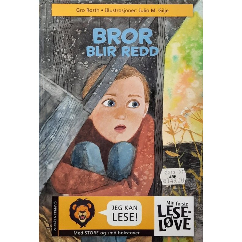 Gro R�sth - Bror blir redd (Innbundet)