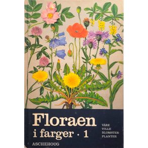 Gunnar A. Berg - Floraen i farger (Innb.)